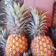 Världsmästare i Crazy Pineapple korad