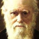 Darwin trea på PocketFives maratonlista