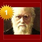 17 veckor för Darwin i toppen av PocketFives