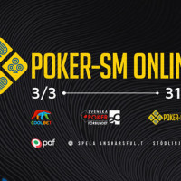 Marcus Bränfeldt leder inför finalbordet av Poker-SM