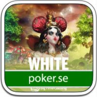 Dags för dag tre i NAPT Los Angeles